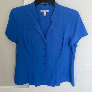 Blue button down blouse